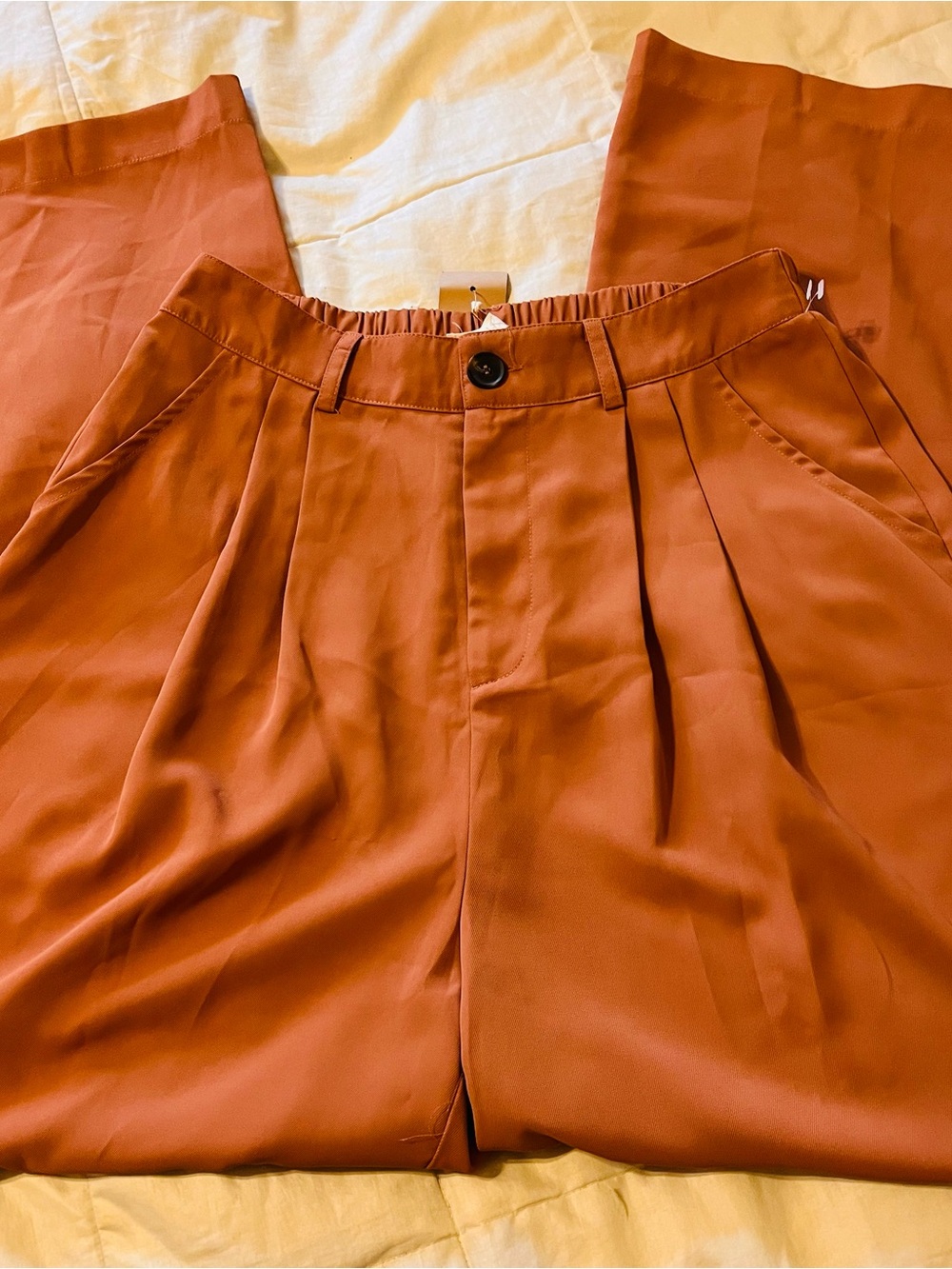 NWT Wide-Leg Pleated Trousers Rosy Tan